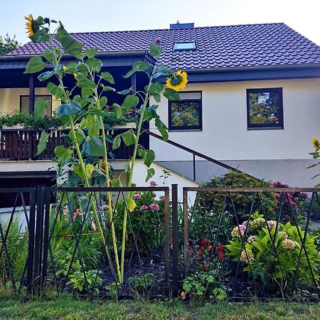 Waldhus Villa Uckeritz Eksteriør bilde