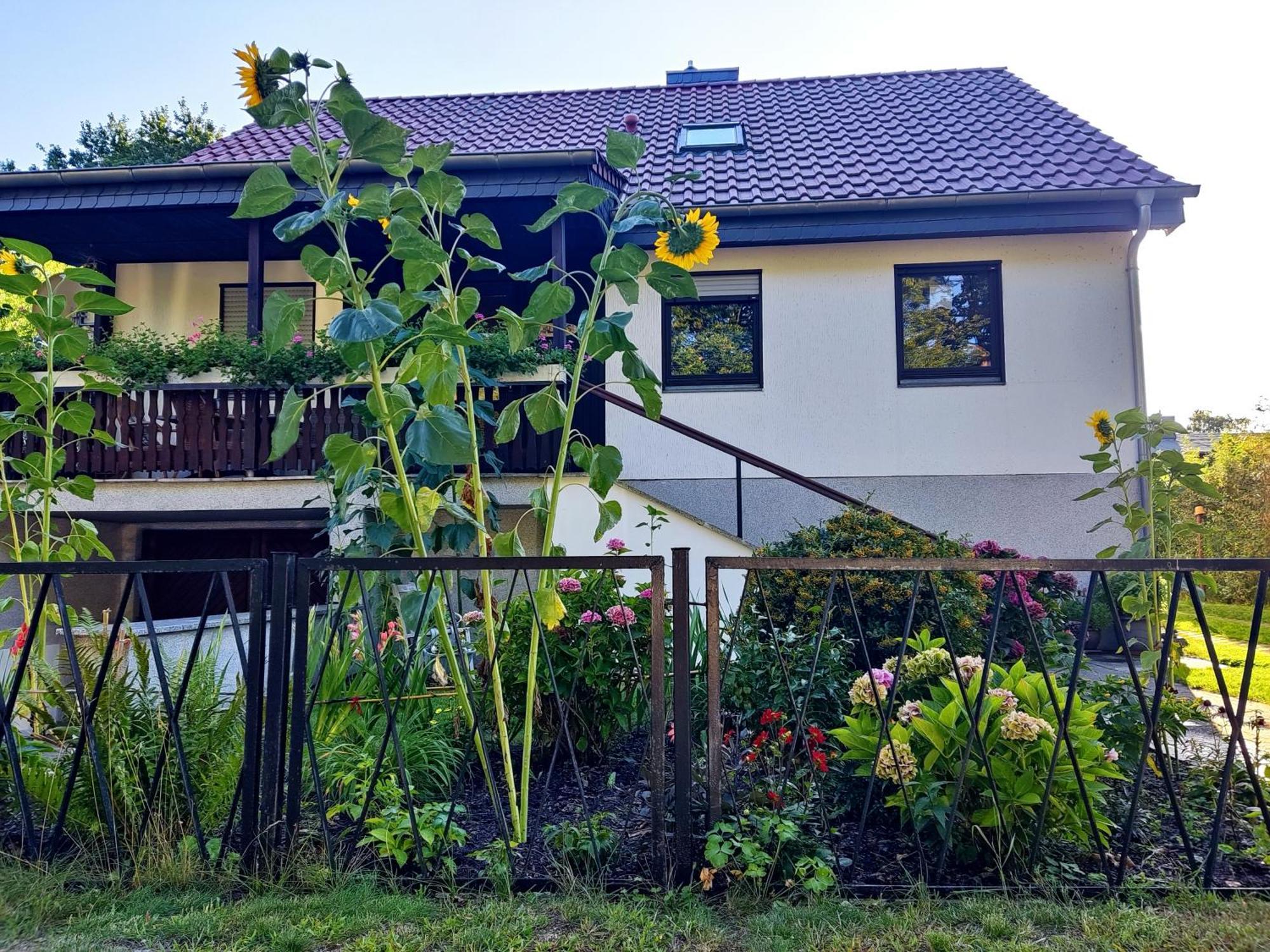 Waldhus Villa Uckeritz Eksteriør bilde
